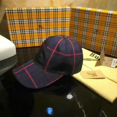 Burberry Caps-2